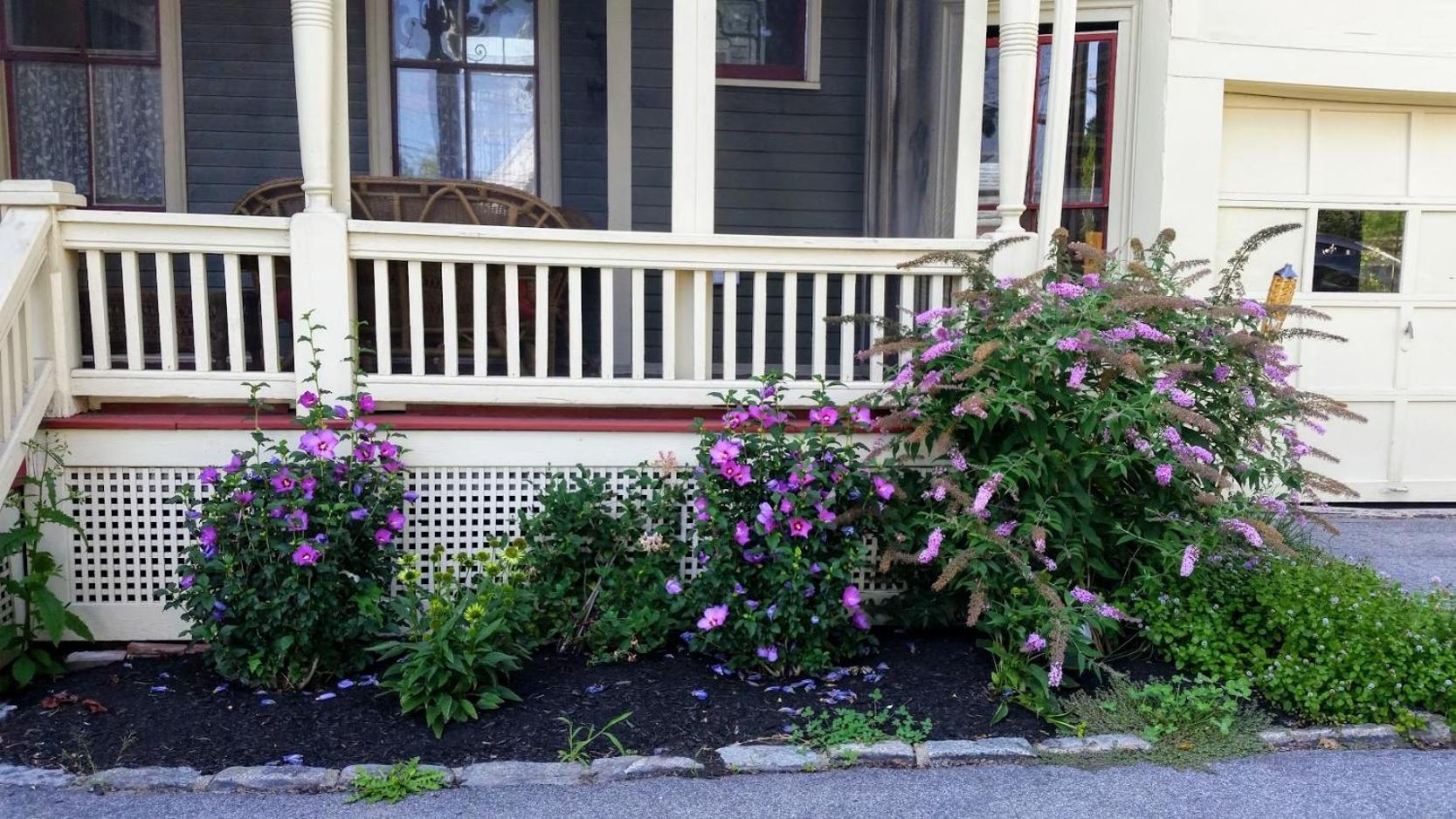 Maine Victorian Mansion Villa Saco Exterior photo
